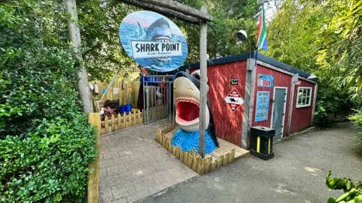 Shark point