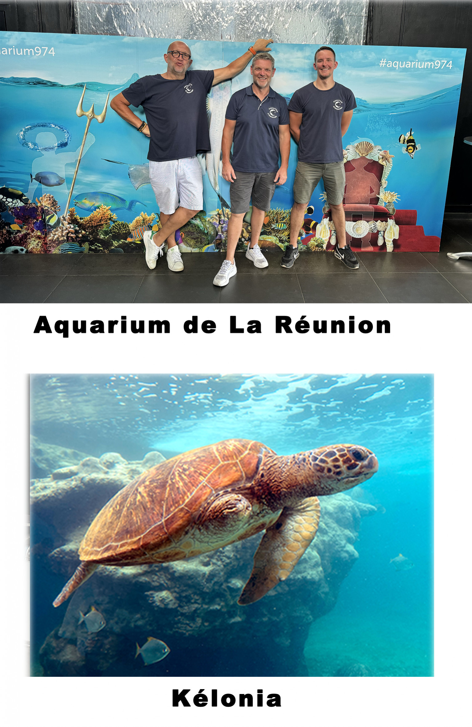 Aquarium de La Réunion et Kélonia